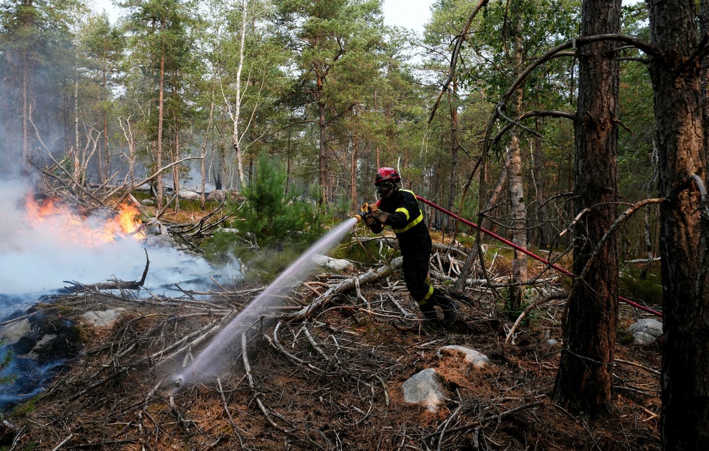 ¿Qué pasa por la mente de los bomberos pirómanos que juegan con fuego? ¿Qué pasa por la mente de los bomberos pirómanos que juegan con fuego?